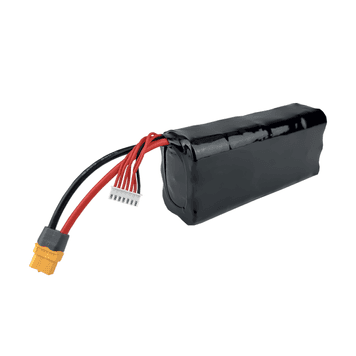 Battery pack 6s2p Lishen LR2170LA horizontal